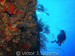 flying high in the wall at v.j.levels dive site in pargue... by Victor J. Lasanta 